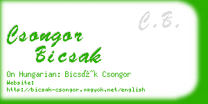 csongor bicsak business card